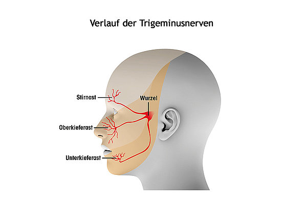 Unterm hals am schmerzen kiefer Lymphknoten Kinn